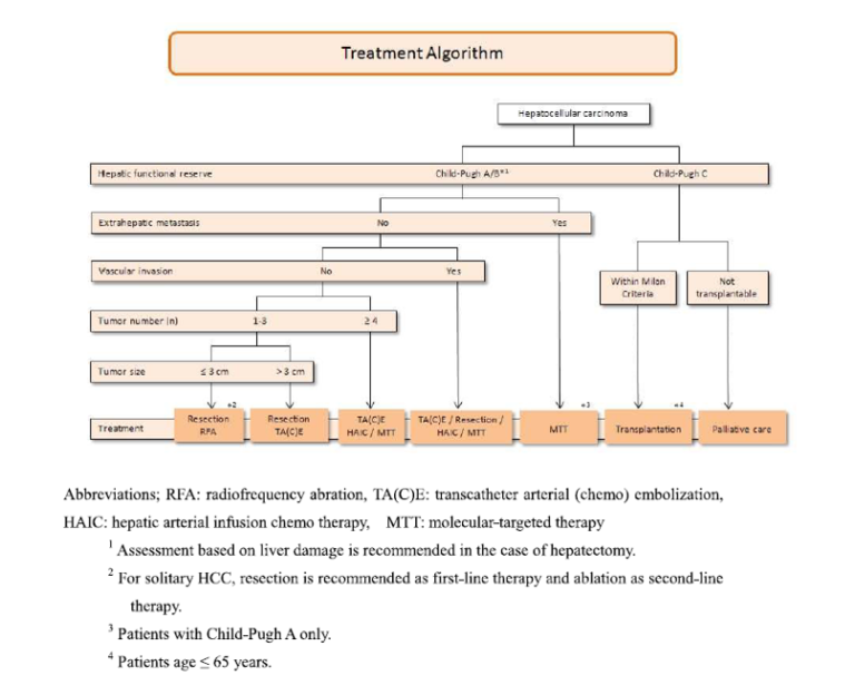 Treatment for Liver Cancer Junichi Shindoh, MD, PhD